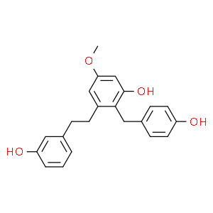 Isoarundinin II