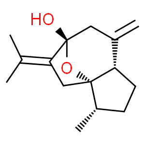 異莪術(shù)烯醇