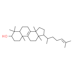 表大戟二烯醇