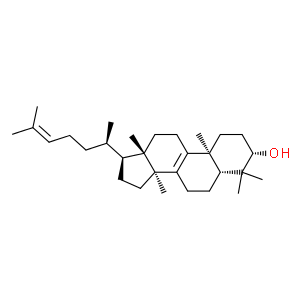 大戟二烯醇