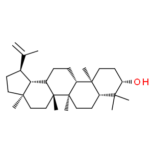 羽扇豆醇