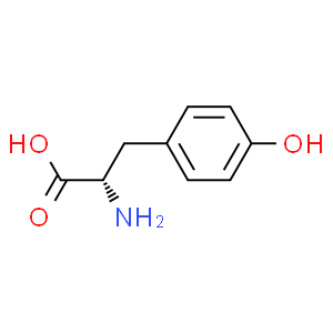 L-酪氨酸