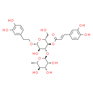 毛蕊花糖苷;麥角甾苷；類葉升麻苷