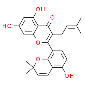 桑皮酮A