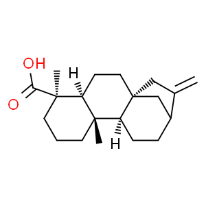 異貝殼杉烯酸