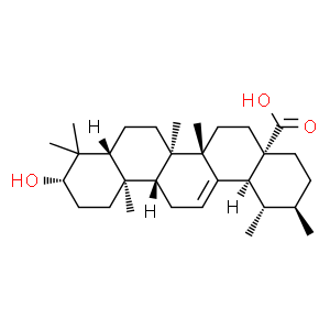 熊果酸