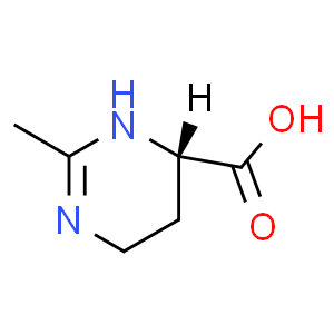 四氫甲基嘧啶羧酸；依克多因；四氫嘧啶