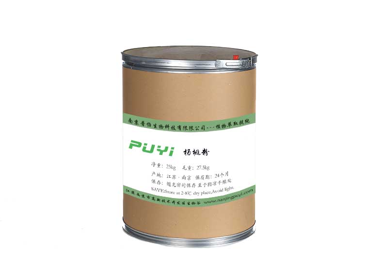 楊桃粉/楊桃濃縮粉/楊桃提取物